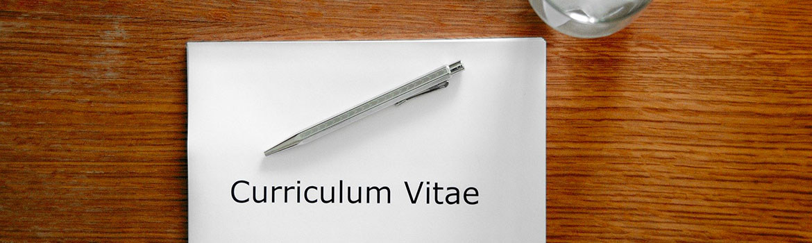 curriculum vitae
